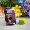 thumbnail image 6 of Calavera De Azucar (Sugar Skull) Scented Wax Melts, ScentSationals, 2.5 oz (1-Pack), 6 of 11