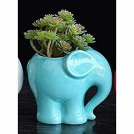 Cactus Bowl Planter Ceramic Flower pot Elephant Succulent Planter Cactus Succulent Plants Flower Cute White Pot ()