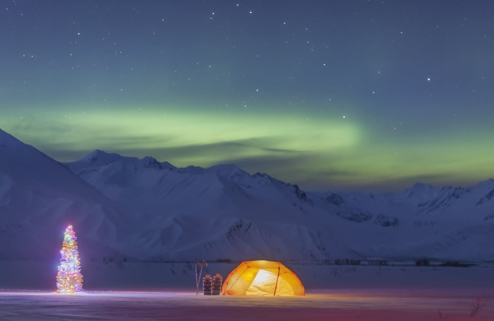 A backpacking tent lit up at twilight with a Christmas tree next to it