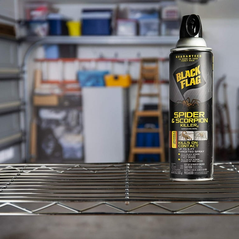 Black Flag Home Defense Indoor Bug Ant Spray, Spider & Scorpion