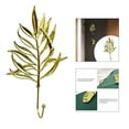 thumbnail image 4 of Perchero decorativo nórdico con forma de hoja dorada para puerta, pared, toalla o llaves. Ideal para decorar el hogar. Estilo 3, 4 of 9