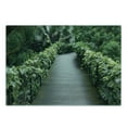 thumbnail image 3 of Asian Cutting Board, Scenic Wooden Pathway in Singapore Botanical Garden Rainforest Tropical, Decorative Tempered Glass Cutting and Serving Board, in 3 Sizes, by Ambesonne, 3 of 5