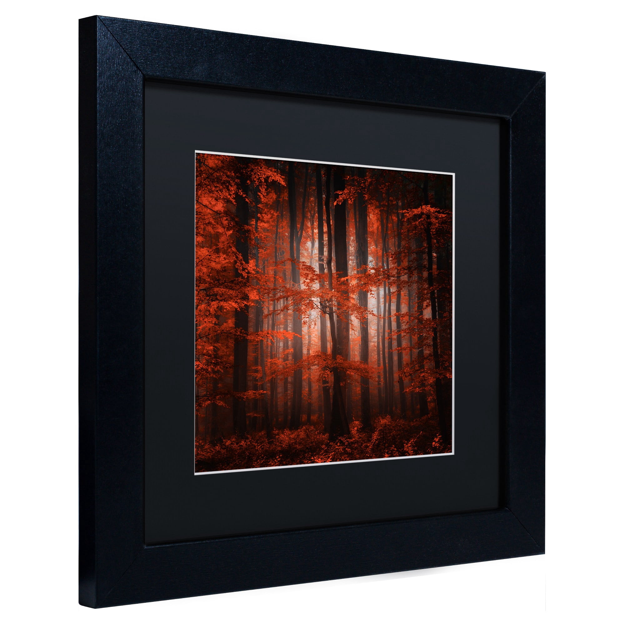 Trademark Fine Art "Red Parallel Universe" Canvas Art by Philippe Sainte-Laudy Black Matte, Black Frame