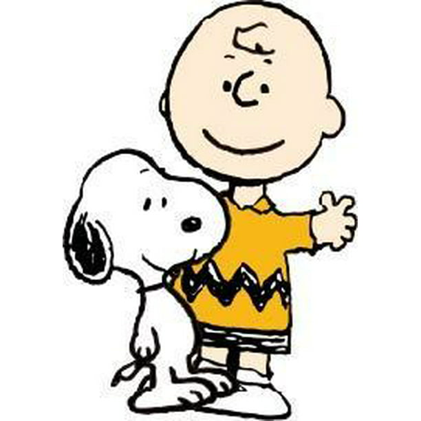 Snoopy and Charlie Brown Peanuts Family Colored Cartoon Character Wall Art  Sticker Vinyl Decals Girls Boys Children Bedroom House School Wall Decor  Removable Sticker Peel and Stick Size (40x20 inch) 