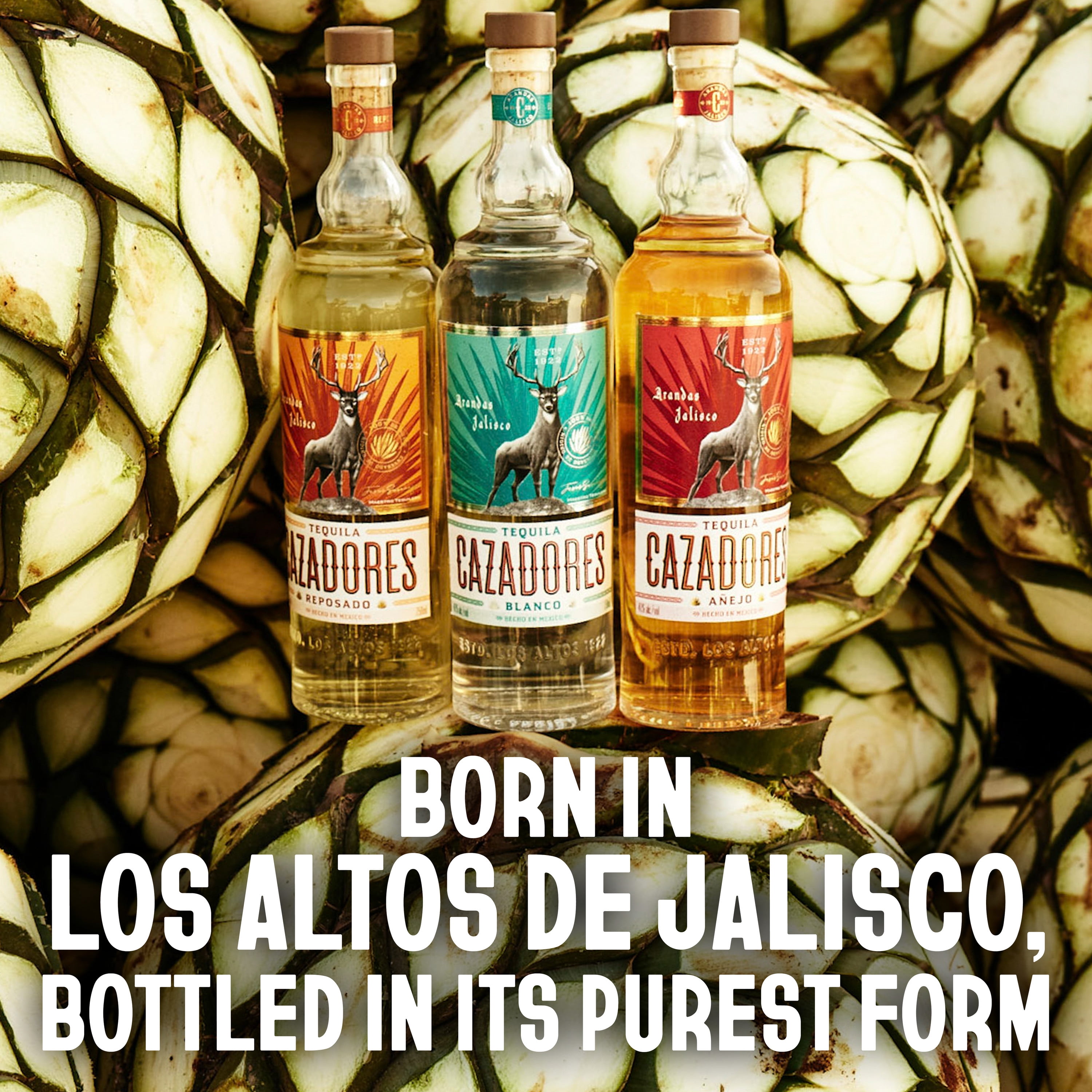 Tequila CAZADORES Reposado - 750 mL Bottle 