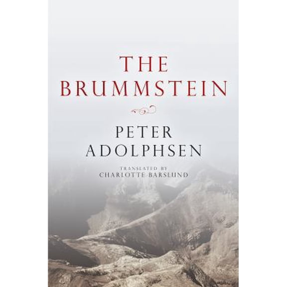 Pre-Owned The Brummstein (Paperback) 1611090288 9781611090284