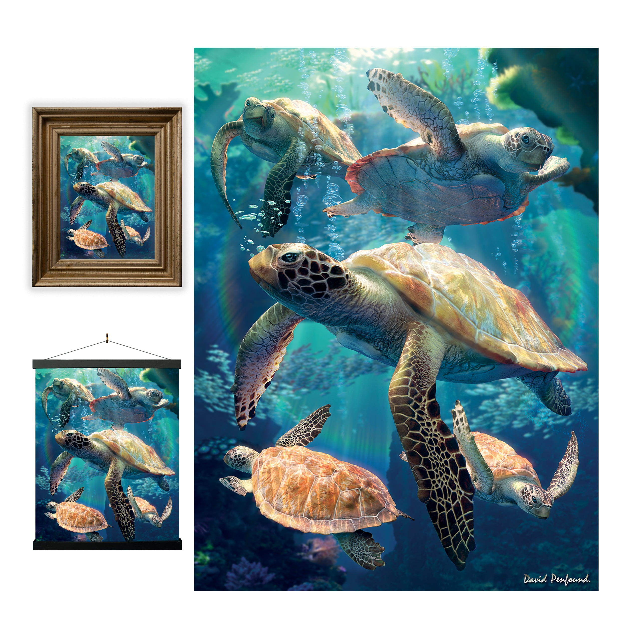 Wall Art Canvas Picture Print Sea Turtle Swimming Underwater 3.2