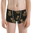 thumbnail image 5 of Yiaed Gold Glitter Pineapples Print Boys' Boxer Briefs Cotton Casual Stretch Comfort Boys Boxers - Kids Boxer Briefs Underwear for Boys (6-18)-X-Small, 5 of 5