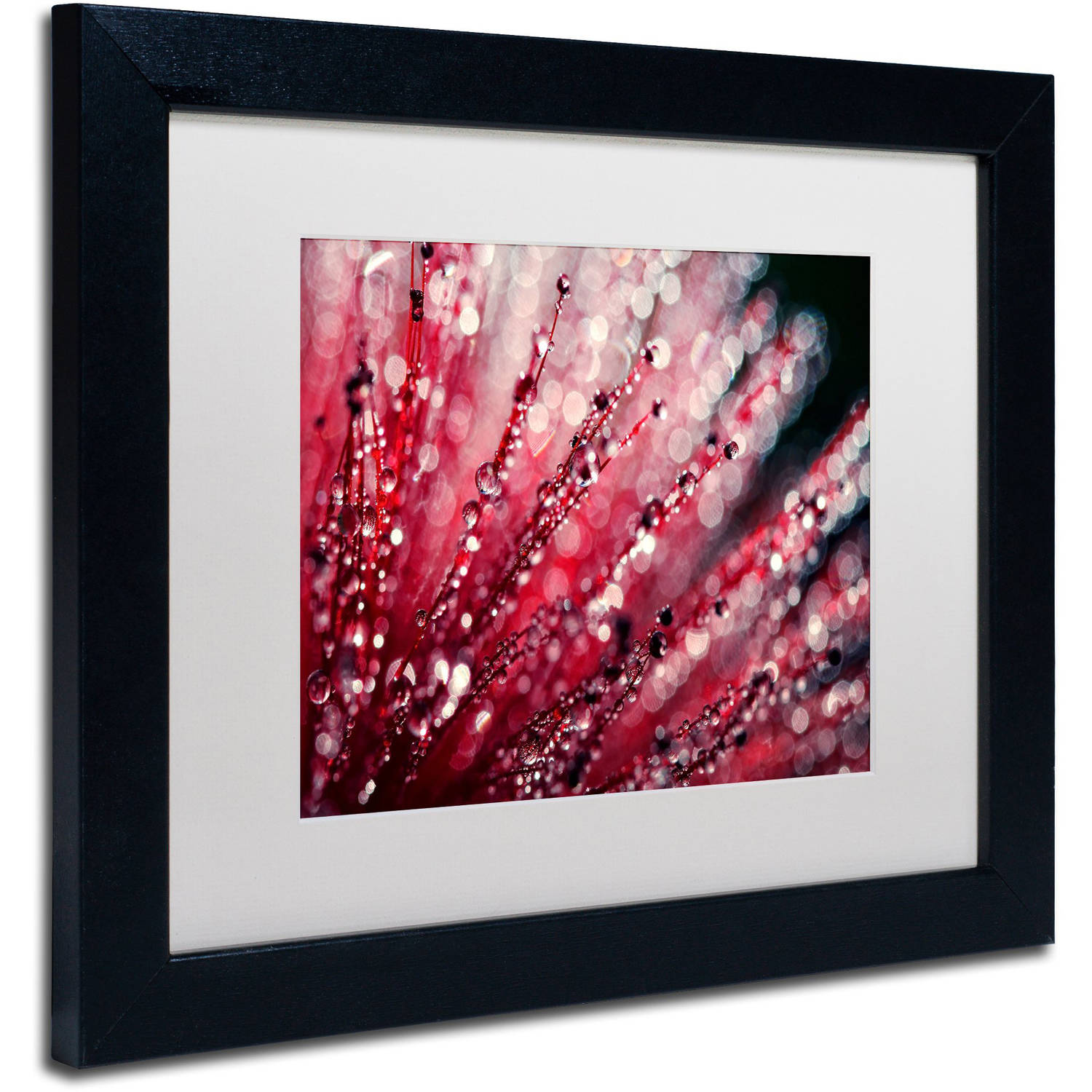 Trademark Fine Art "Sonata in Red" Canvas Art by Beata Czyzowska Young, White Matte, Black Frame