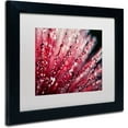 thumbnail image 2 of Trademark Fine Art "Sonata in Red" Canvas Art by Beata Czyzowska Young, White Matte, Black Frame, 2 of 4