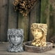 thumbnail image 5 of Maceta de resina con forma de cara, escultura de cactus, macetas suculentas para interior gris, 5 of 9
