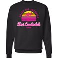 thumbnail image 2 of Inktastic Summer Enjoy the Sunshine Fort Lauderdale Florida in Pink Adult Sweatshirt, 2 of 4