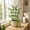Green,A, variant on Small Trellis for Potted Vegetation,Pea Trellis,Stackable Small Indoor Vegetation Trellis,Climbing Vegetation Support Trellis