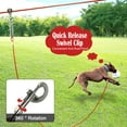 Snagle Paw Dog Tie Out Runner for Yard, Dog Trolley System 100FT Dog