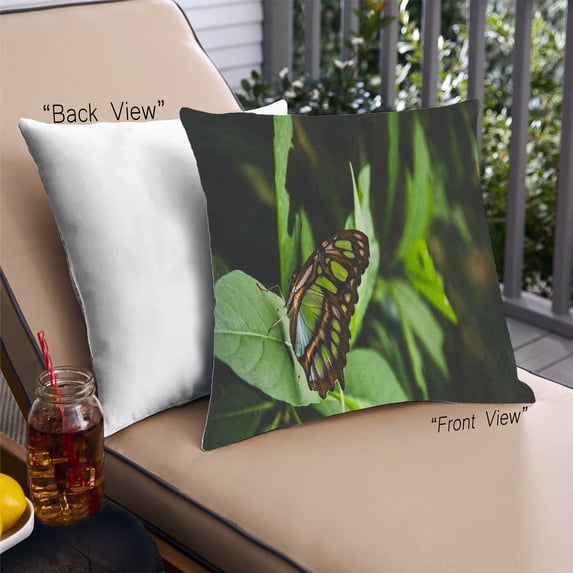Ahgly Company Insects Butterfly Outdoor Throw Pillow, 18 inch by 18 inch