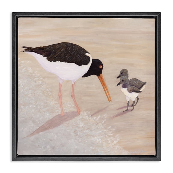 Stupell Industries American Oyster Catcher & Chicks Black Framed Floater Canvas Wall Art, design by Barbara Fallenbaum