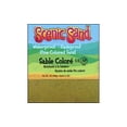 thumbnail image 1 of Activa Scenic Sand 1Lb-Bright Yellow, 1 of 5