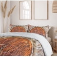 thumbnail image 6 of Ambesonne Rustic Duvet Cover Sets, Door Vintage, 2-Queen, Grey Orange, 6 of 7