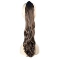 thumbnail image 1 of Ponytail Budget Straight Auburn Wig Costume, 1 of 1