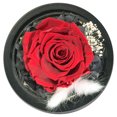 thumbnail image 4 of Gift for Women Forever Preserved Real Rose in Glass Dome Gift for Valentine's Day Mother's Day Christmas Anniversary Birthday, 4 of 6