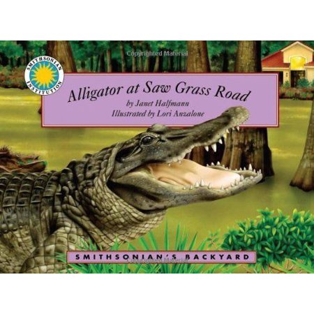 New Alligator At Saw Grass Road A Smithsonian S