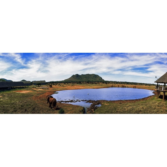 Elephant near a pond in Tsavo East National Park Kenya Canvas Art - Panoramic Images (27 x 9)