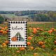 thumbnail image 2 of Bandera de jardín YOUSIM Decoraciones de Halloween Calabazas a cuadros, 2 of 4
