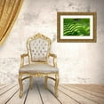 thumbnail image 3 of Jenny Rainbow Fine Art 18x13 Gold Ornate Wood Framed with Double Matting Museum Art Print Titled - Healing Art Fern Leaf, 3 of 4