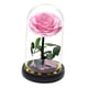 thumbnail image 3 of Rosas de cristal, regalo de flores, aniversario, regalo romántico, regalos del Día de San Valentín para hombres, decoración del Día de San Valentín, , rosa BLESIY luz de mesa, 3 of 8