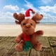 thumbnail image 2 of FELTECHELECTR Muñeco de peluche de reno con música, adorable animal de dibujos animados, decoración navideña de 20 cm (con canciones navideñas)., 2 of 6