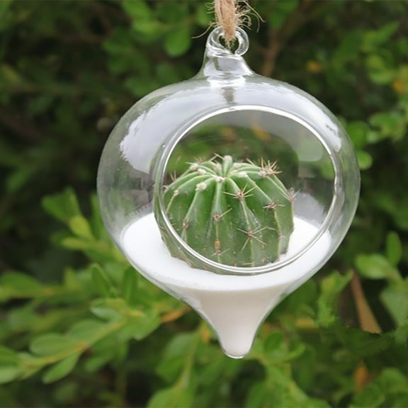 Jingjianm Clear Glass Hanging Terrarium, Air Plant Holder, Decorative Orb for Home, Garden, Wedding, and Event Decor, 4 Inches Clear
