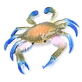 thumbnail image 4 of Modelo de cangrejo de animal marino realista, cangrejo de plástico simulado, accesorios educativos para niños, juguetes de cangrejo (PL1271086 cromático), 4 of 14