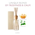 thumbnail image 4 of Arancia Reed Diffuser 16oz diffuser by Alora Ambiance, 4 of 4