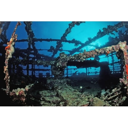 Wingate By Wi Scuba Diver Diving on Umbria Shipwreck, Sudan, Africa, Red Sea, Wingate Reef Print Wall Art By Reinhard Dirscherl ()