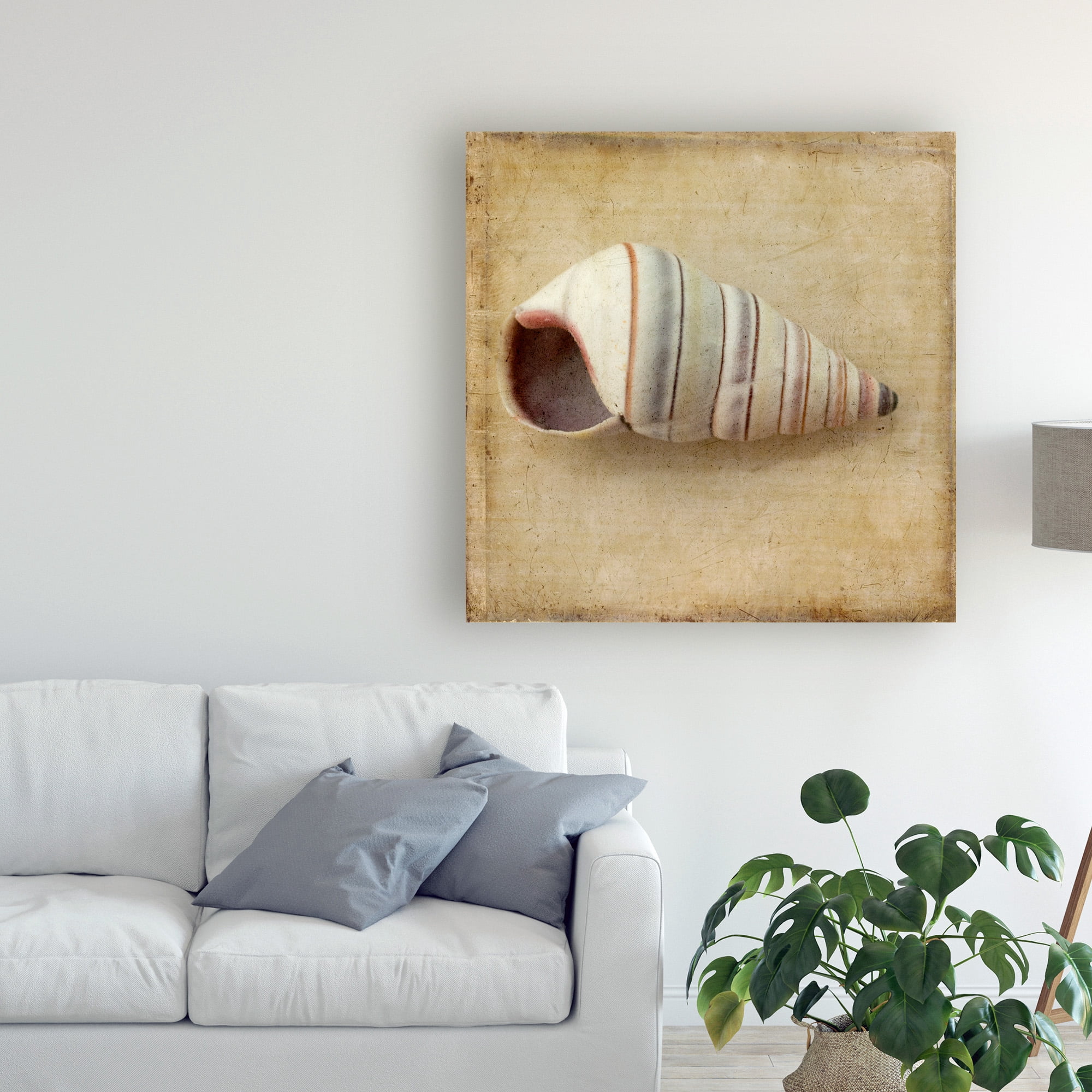 Trademark Fine Art 'Sepia Shell IV' Canvas Art by Judy Stalus