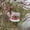 Bird Feeder A, variant on LACKUST Bird Feeders Outdoor Clearance,Portable Hanging Hummingbird Feeder with Clear Reservoir for Outdoor Garden and Patio,Transparent