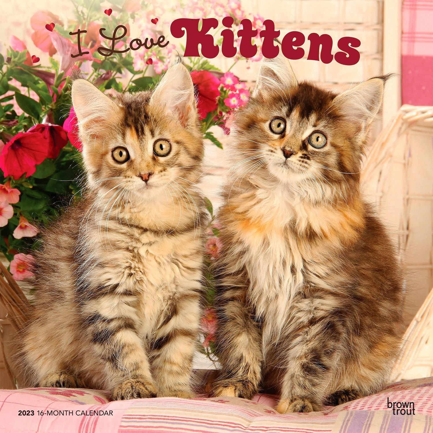 I Love Kittens | 2023 12x24 Inch Square Wall Calendar