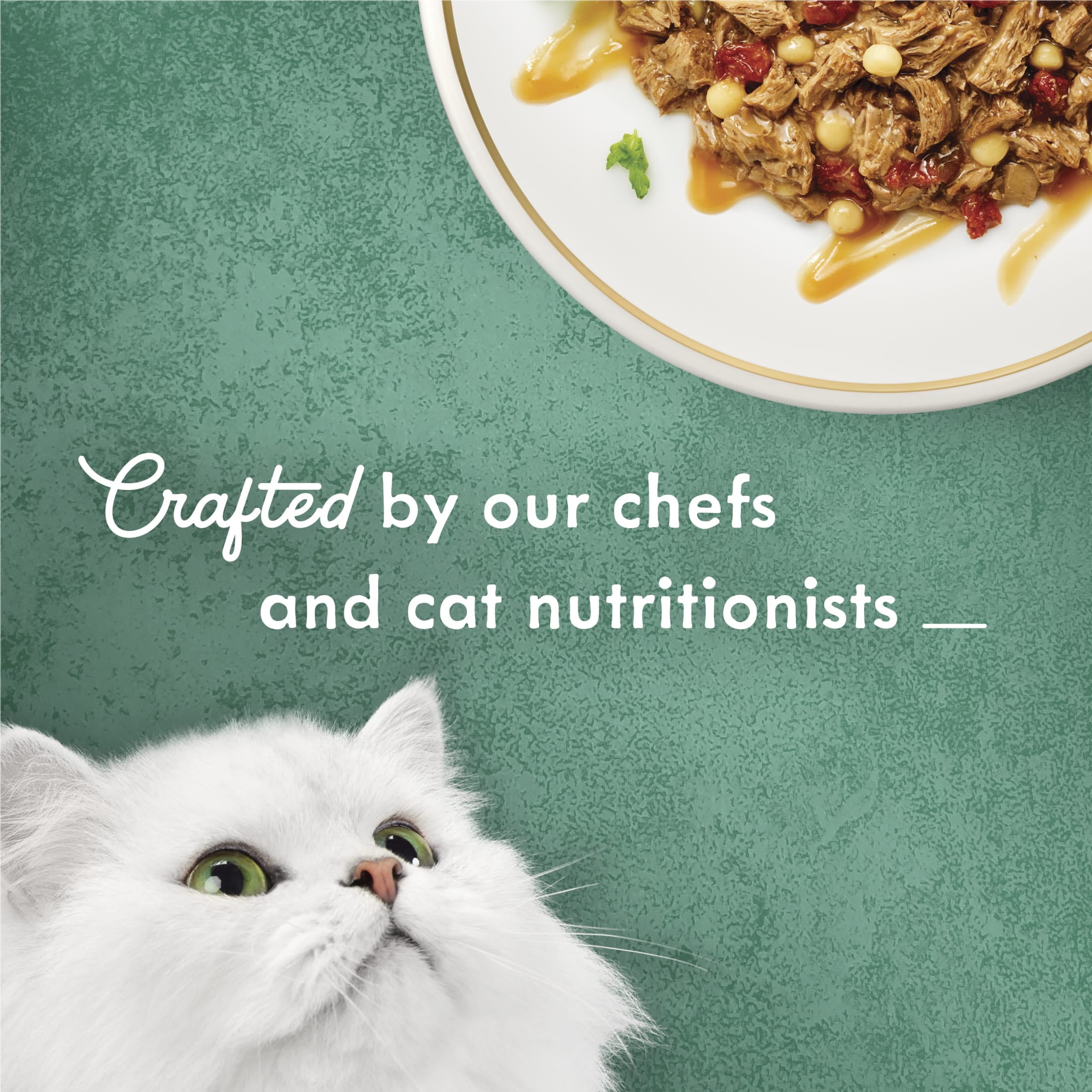 (24 pack) Purina Fancy Feast Medleys, Beef Ragu & Pasta Cat Food, 3 oz Can