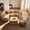 Beige, variant on XIZZI Swivel Accent Chairs, Corduroy 360°Swivel Armchair Reading Chair with Side Pockets for Living Room, Bedroom, Reading Room Beige