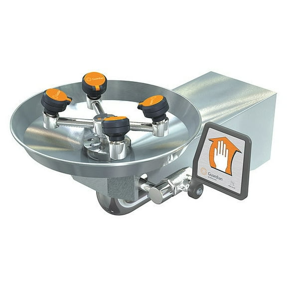Guardian Equipment ADA Eye/Face Wash Station,Wall,SS,15 W GBF1724