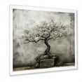 Designart "Miniature Zen Bonsai I" Landscapes Framed Wall Art Decor