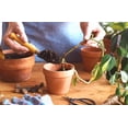 thumbnail image 3 of Gardenera Labs Epipremnum Potting Mix - Promote Strong Roots and Luxurious Leaves with Our Premium Blend - 4 Quart, 3 of 3