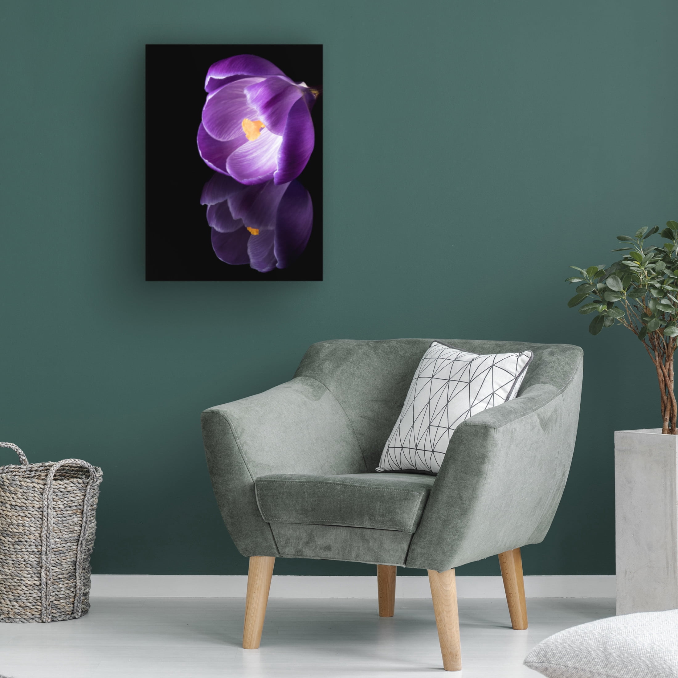 Canvas Wall Art - Jens Gade 'Crocus Flower With Reflections' Wall Art for Living Room, Bedroom, or Office Décor by Trademark Fine Art - 35 x 47 Inches