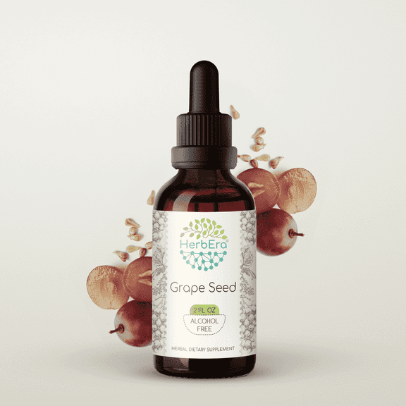 HerbEra Grape Seed Tincture, Herbal Dietary Supplement for Antioxidant Support, Grape (Vitis vinifera) Dried Seed Extract, Natural, Alcohol-Free, Drops 2 oz