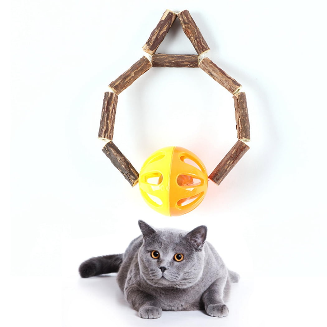 kitten teething ring