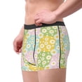 thumbnail image 2 of Gukieu Daisies Flowers Print Men's Boxer Briefs, High Elastic Moisture Wicking Boxer Briefs Underwear-Large, 2 of 5
