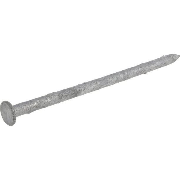 16D Hot Dipped Galvanized Common Nails (3-1/2 16D Hot Dipped Galvanized Common Nails (3-1/2