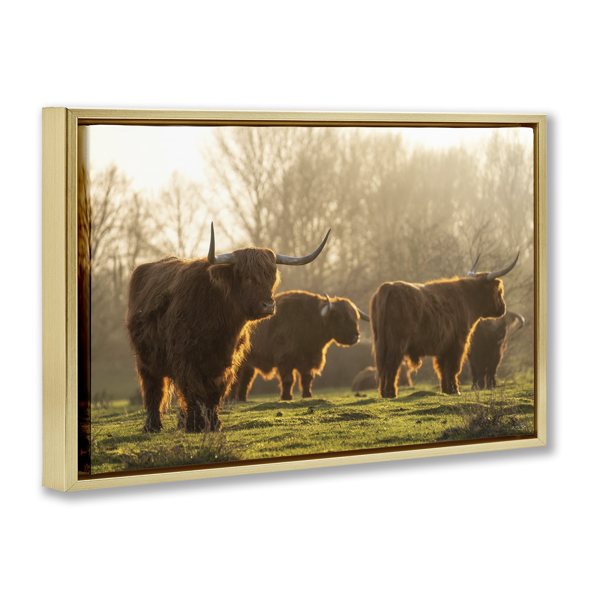 Stupell Industries Longhorns in Foggy Pasture Animals & Insects Photography Gold Floater Framed Canvas Art Print Wall Art, 25 x 17