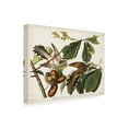 thumbnail image 2 of John James Audubon 'Yellow Billed Cuckoo' Canvas Art, 2 of 3