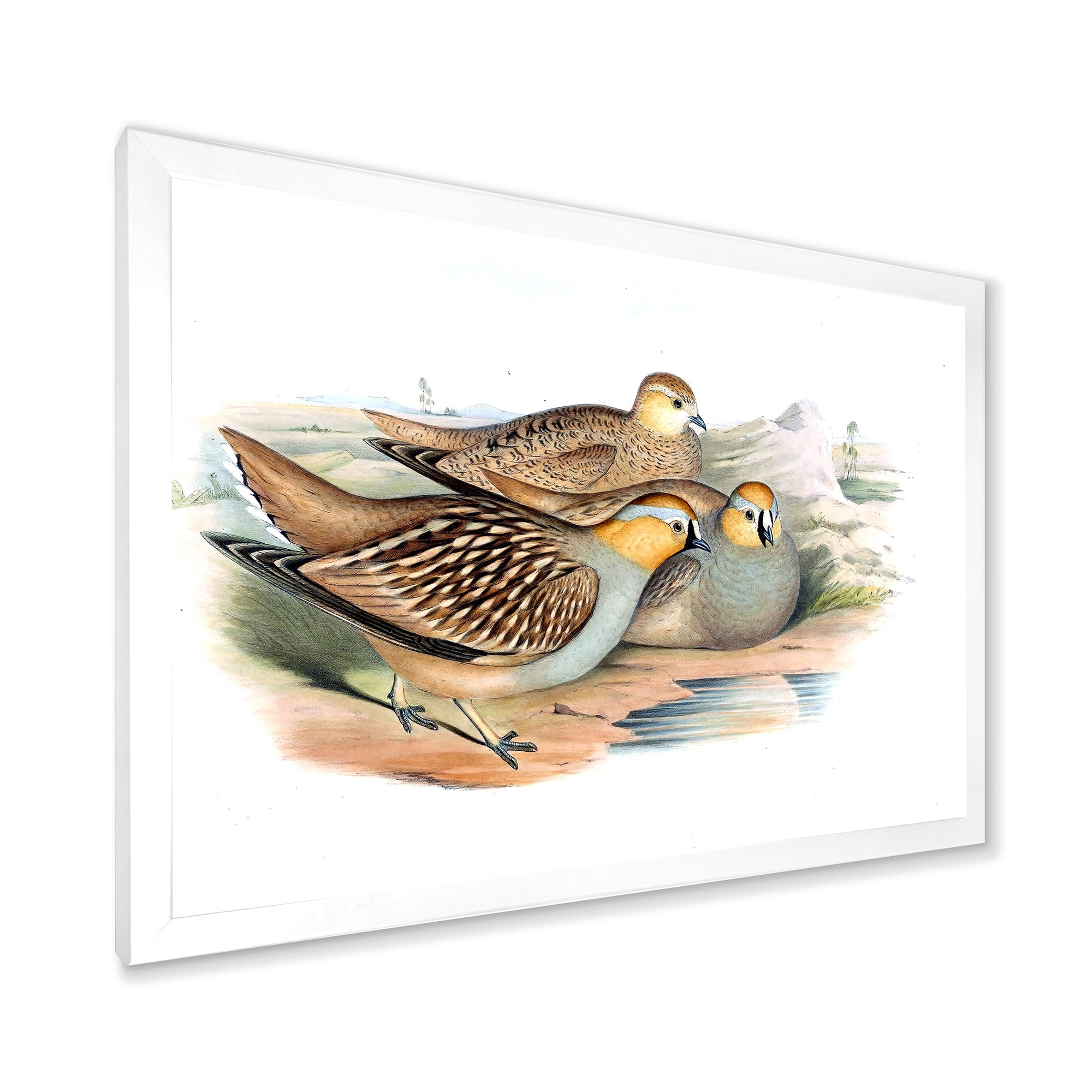 Designart 'Ancient Birds In The Wild III' Traditional Framed Art Print